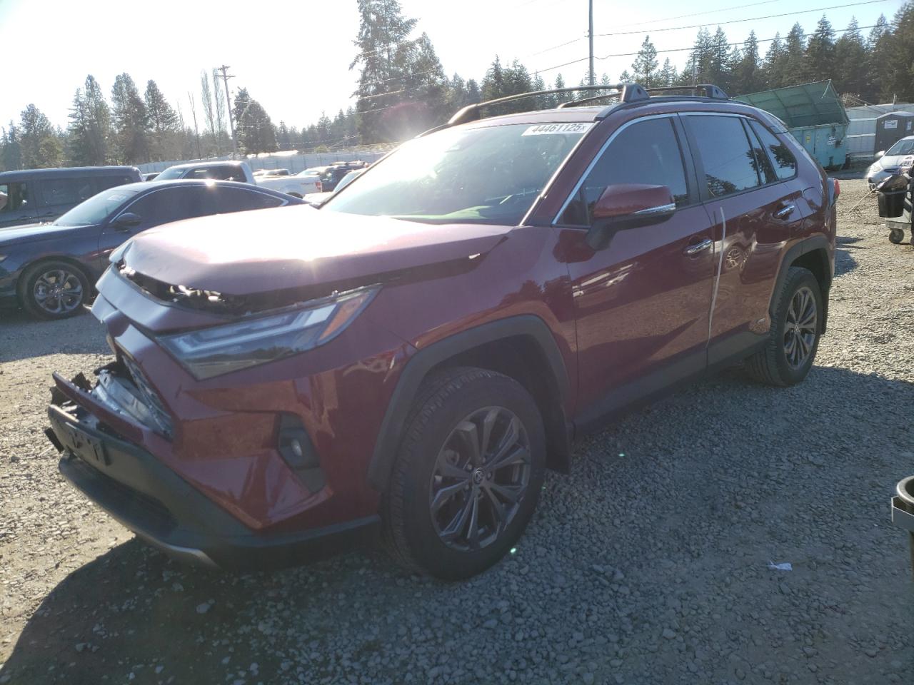 2023 Toyota RAV 4 - Image 1