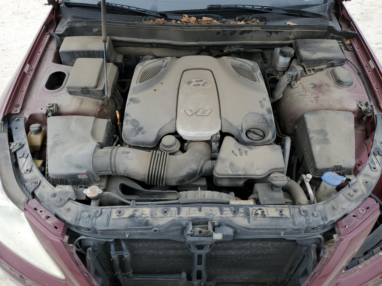 2010 Hyundai Genesis - Image 13