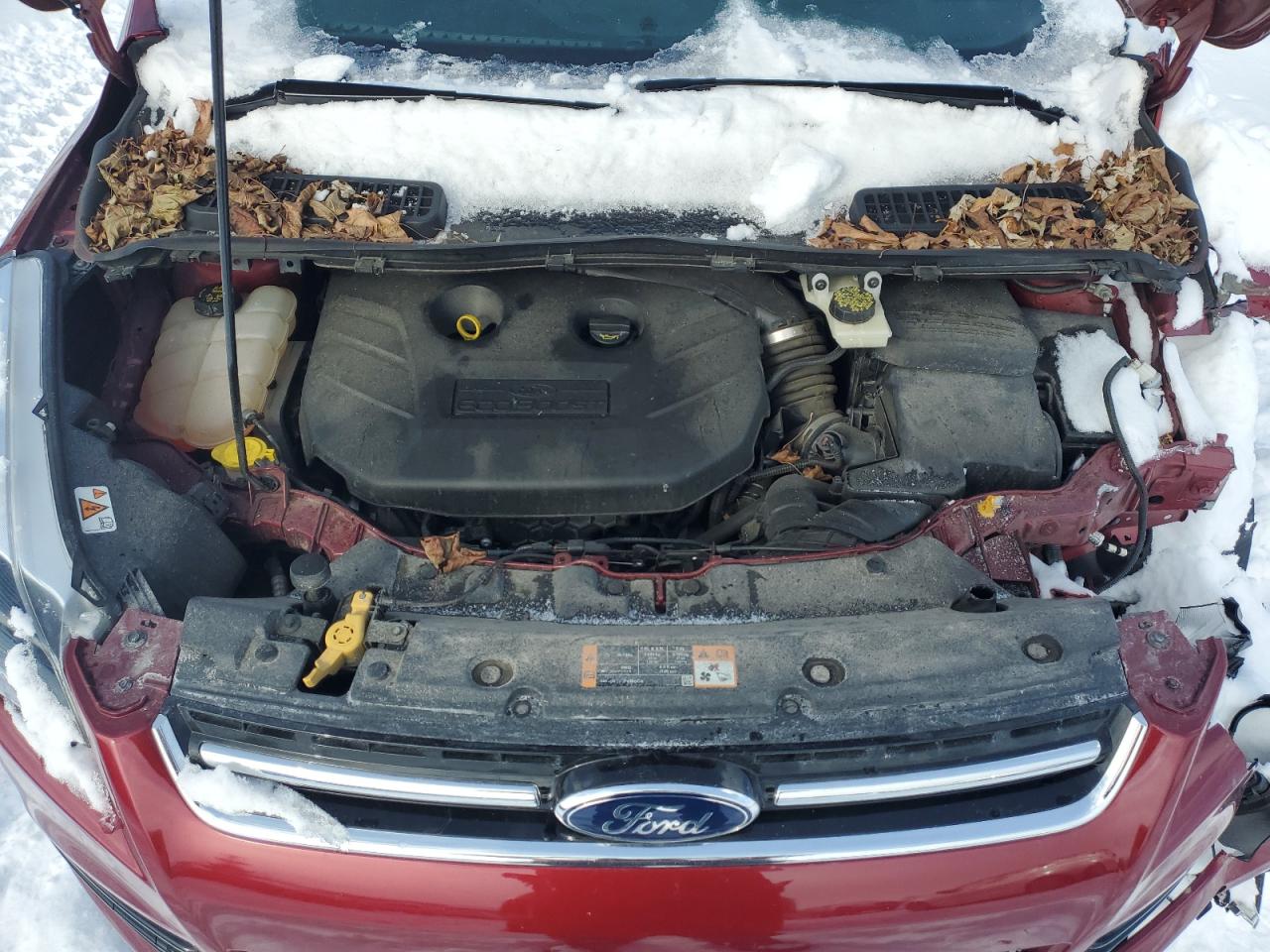 2014 Ford Escape - Image 12