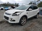 Riverview, FL에서 판매 중인 2013 Ford Escape Titanium - Front End