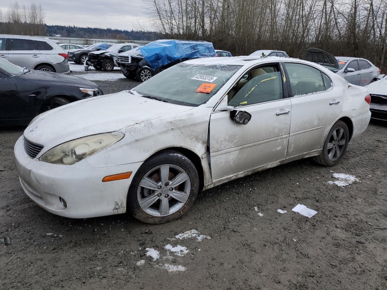 2005 Lexus ES - Image 1