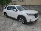 2024 Honda Pilot Exl للبيع في Opa Locka، FL - Side