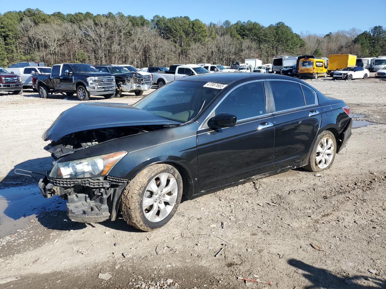 2010 Honda Accord - Image 1