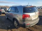 2011 Kia Sorento Ex за продажба в Hillsborough, NJ - Front End