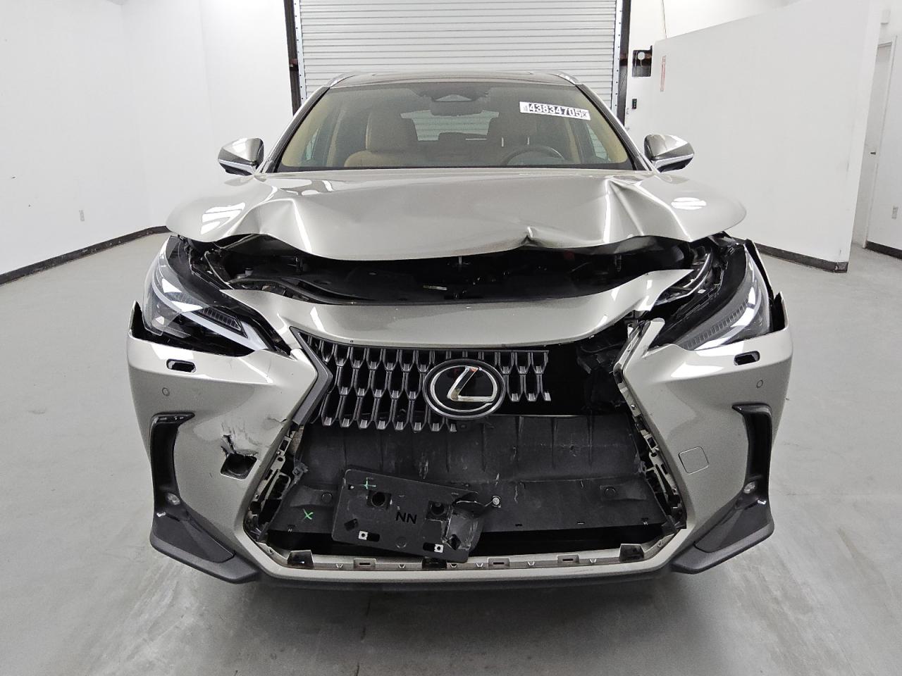 2024 Lexus Nx 350H Base იყიდება Wilmer-ში, TX - Front End