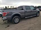 2014 Ford F150 Supercrew იყიდება Finksburg-ში, MD - Rear End
