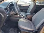 2020 Ford Escape Se for Sale in Glassboro, NJ - Hail