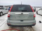2010 Honda Cr-V Exl იყიდება Wayland-ში, MI - Rollover