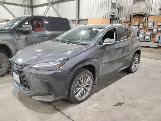 2025 LEXUS NX 350H BASE for sale at Copart QC - MONTREAL