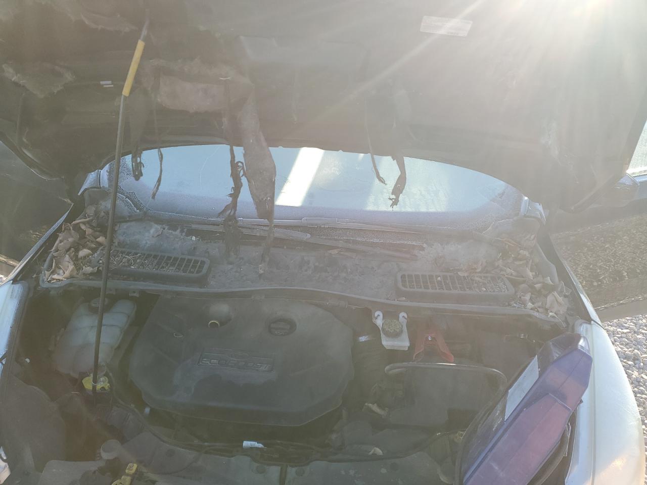 2013 Ford Escape - Image 11