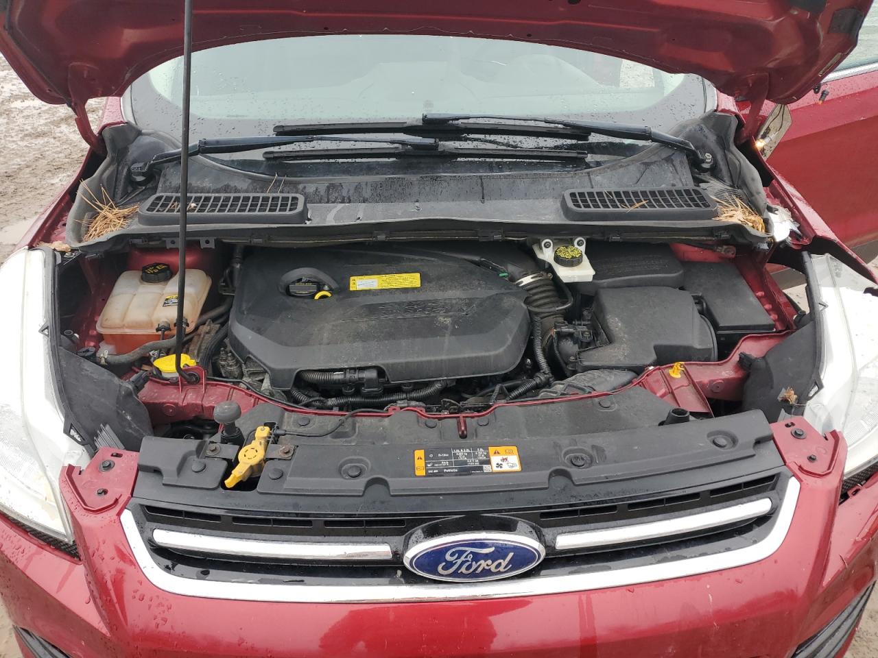 2013 Ford Escape - Image 14