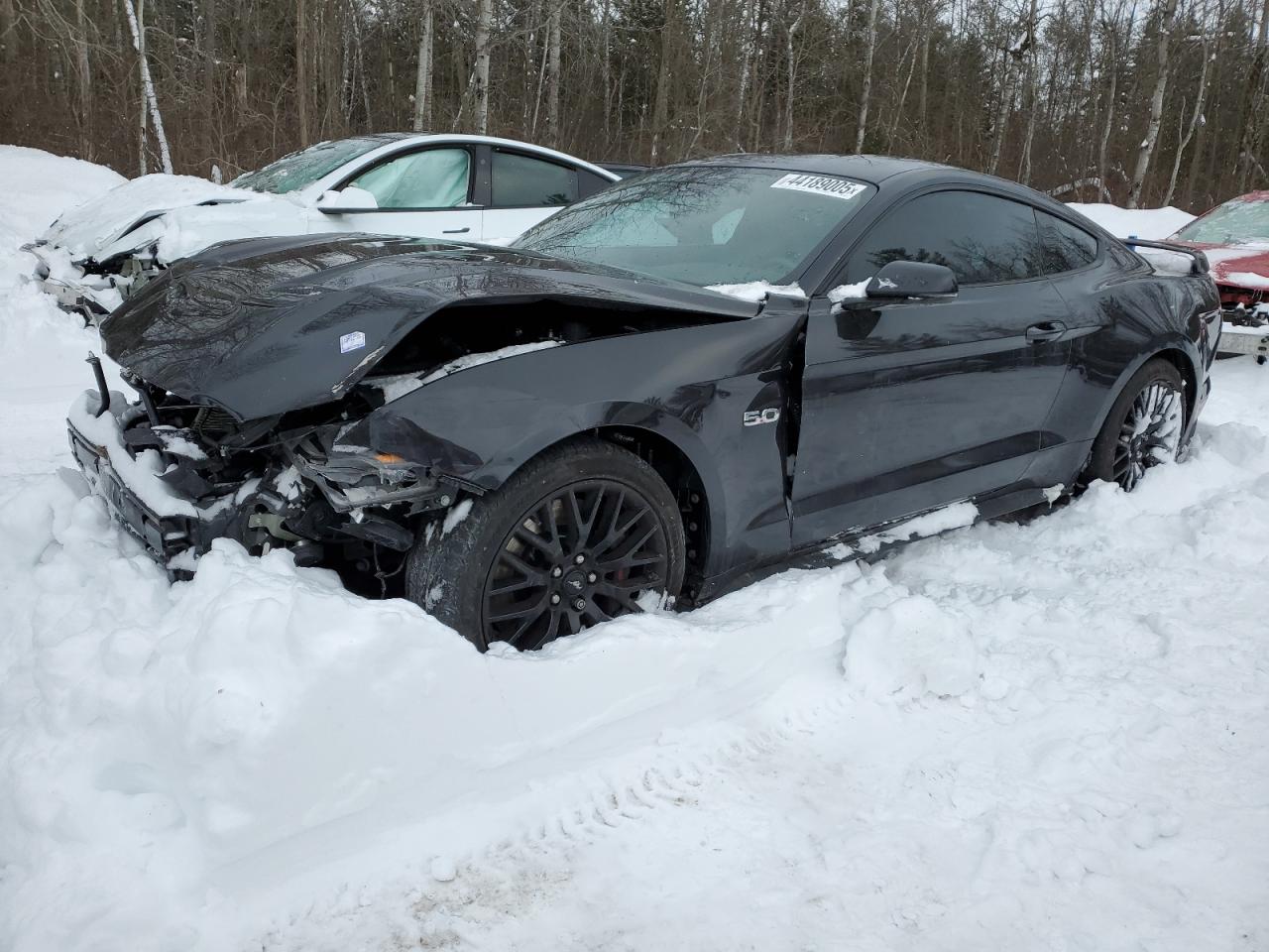 2023 Ford Mustang Gt for Sale in Cookstown, ON - Front End
