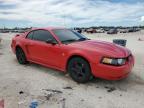 2004 Ford Mustang    for Sale in Arcadia, FL - Front End