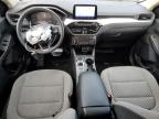 2020 Ford Escape Se for Sale in Denver, CO - Front End