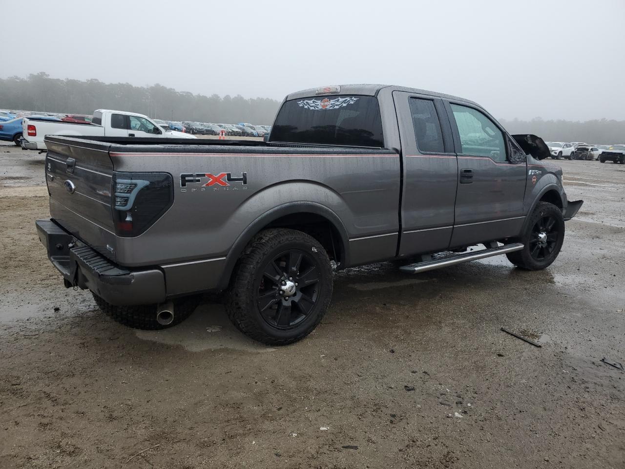 2010 Ford F-150 - Image 3