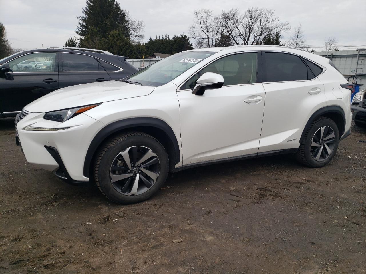 2020 Lexus NX - Image 1