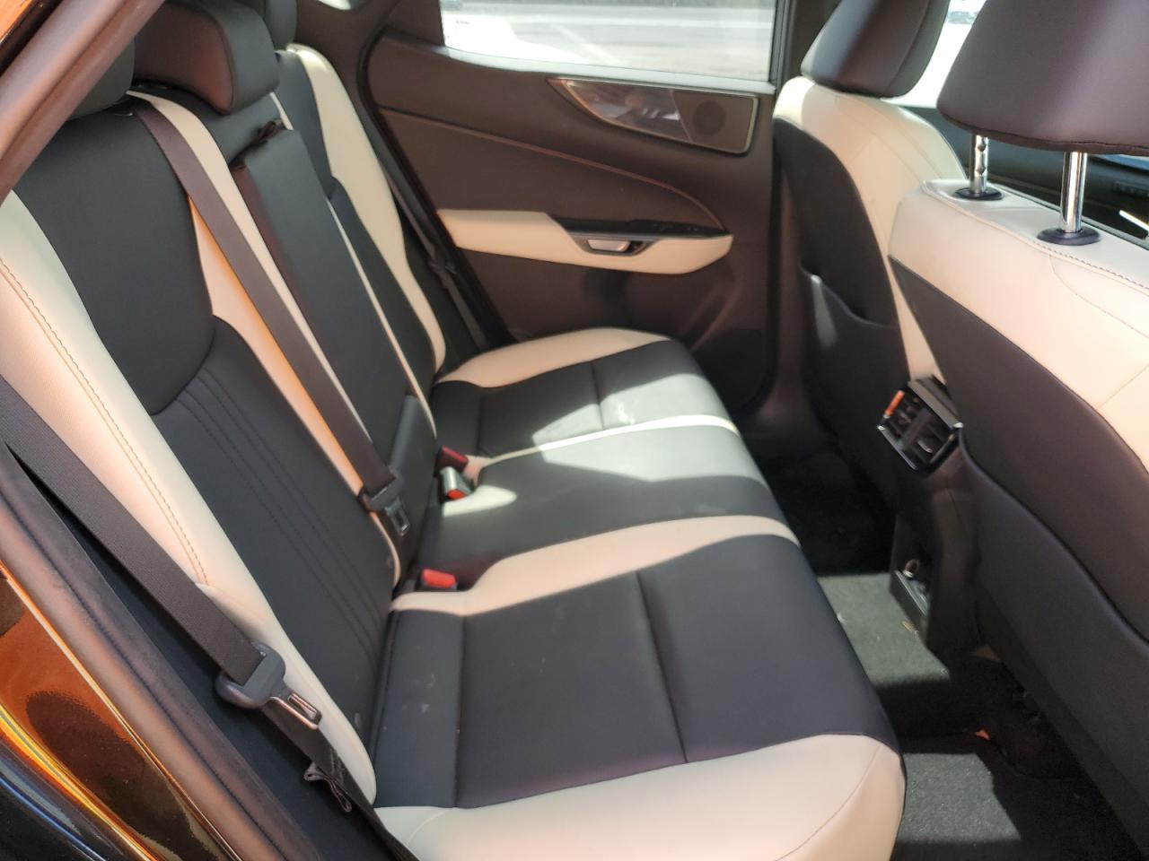 2023 Lexus NX - Image 11