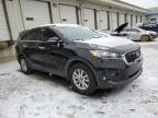 2019 Kia Sorento L for Sale in Louisville, KY - Rear End
