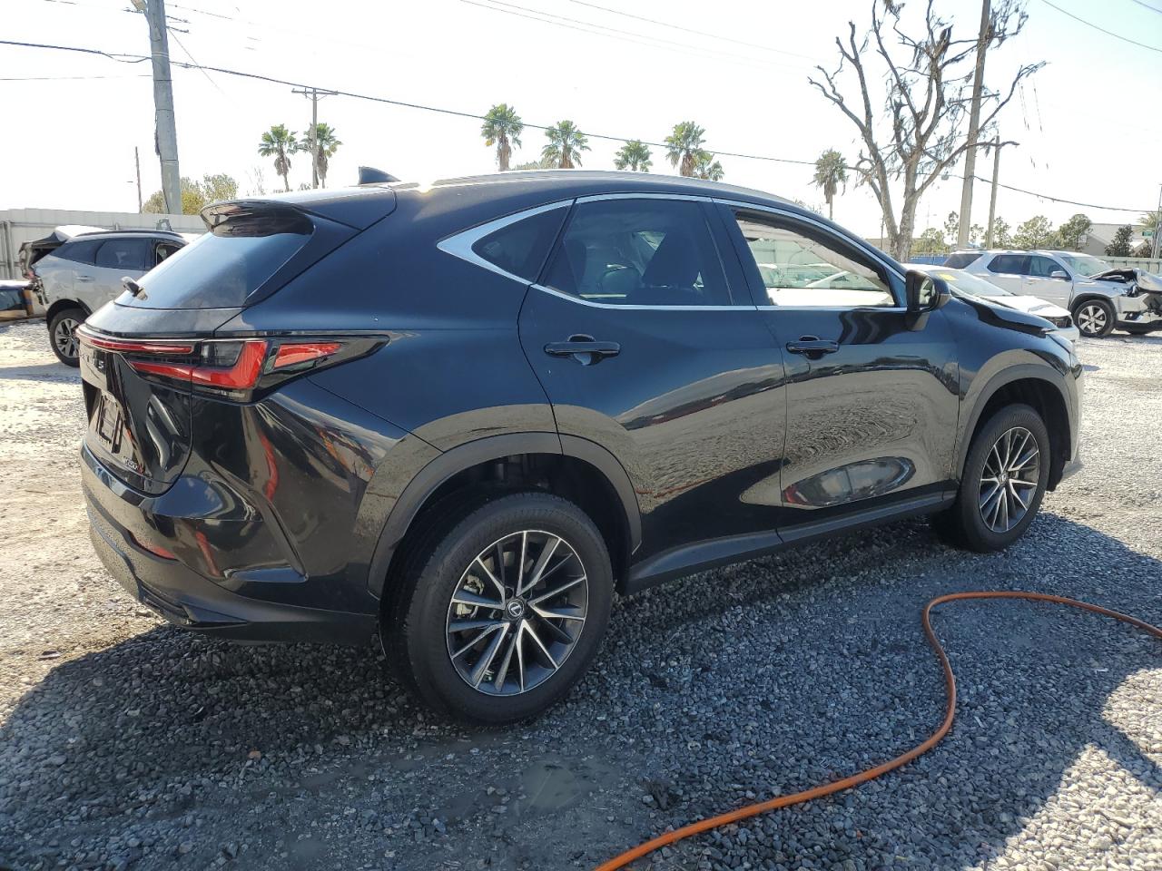 2023 Lexus NX - Image 3