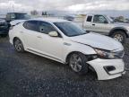 2014 Kia Optima Hybrid for Sale in Sacramento, CA - All Over