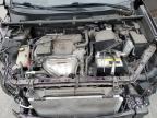 2017 Toyota Rav4 Xle იყიდება Sun Valley-ში, CA - Front End