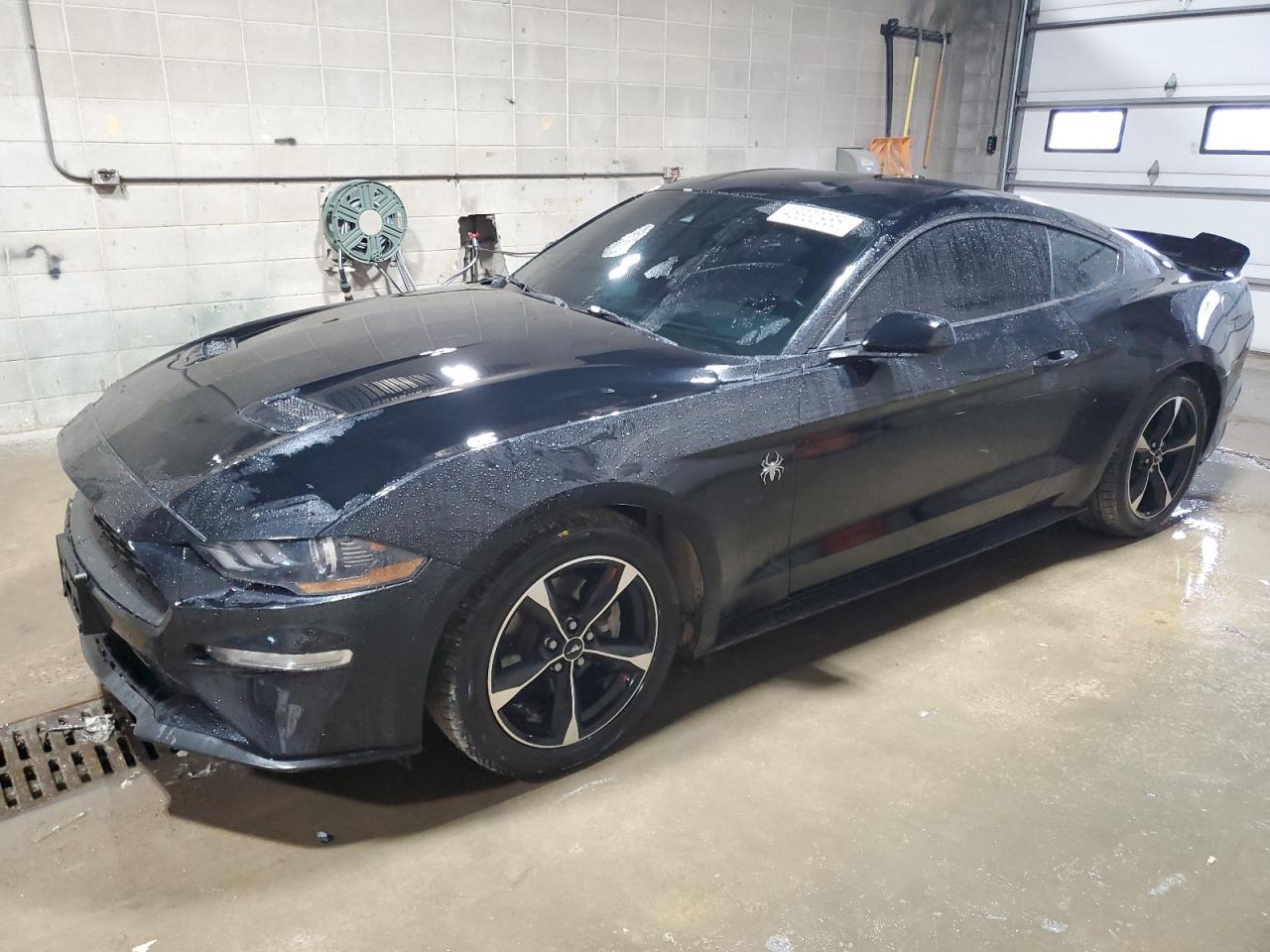 2019 Ford Mustang - Image 1