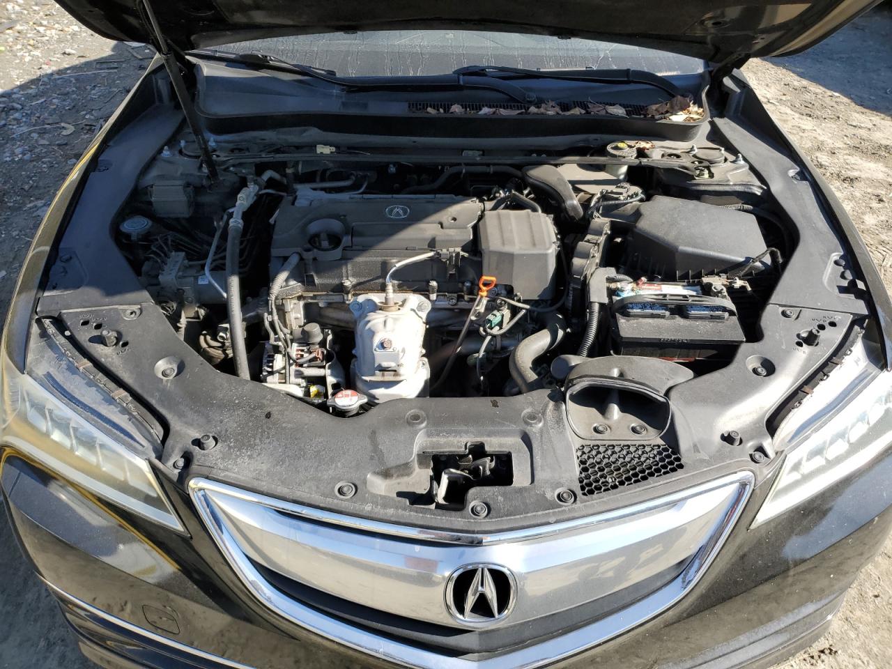 2015 Acura TLX - Image 11