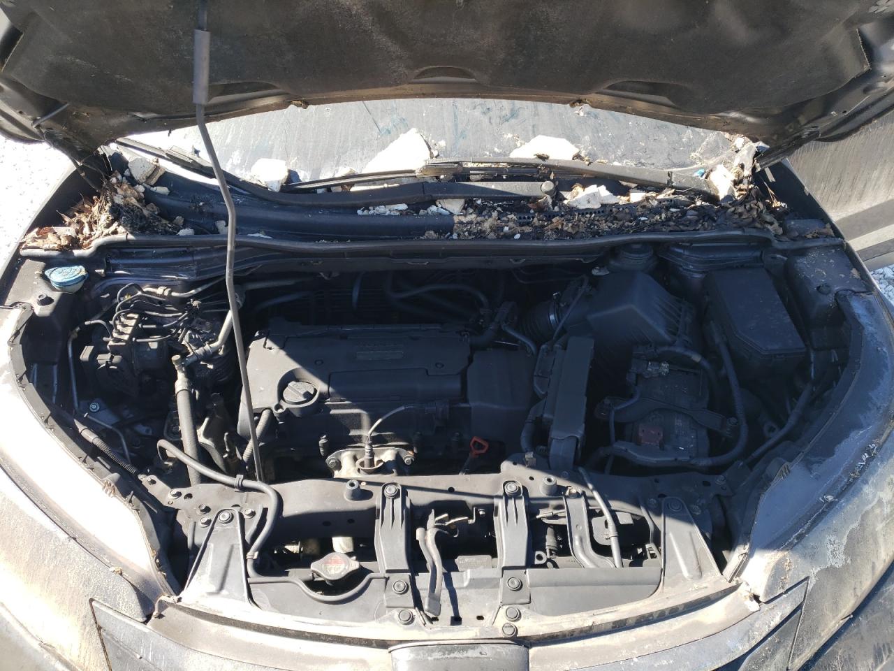 2016 Honda CR-V - Image 12