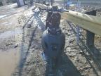 2019 Vespa Scooter იყიდება Waldorf-ში, MD - Stripped