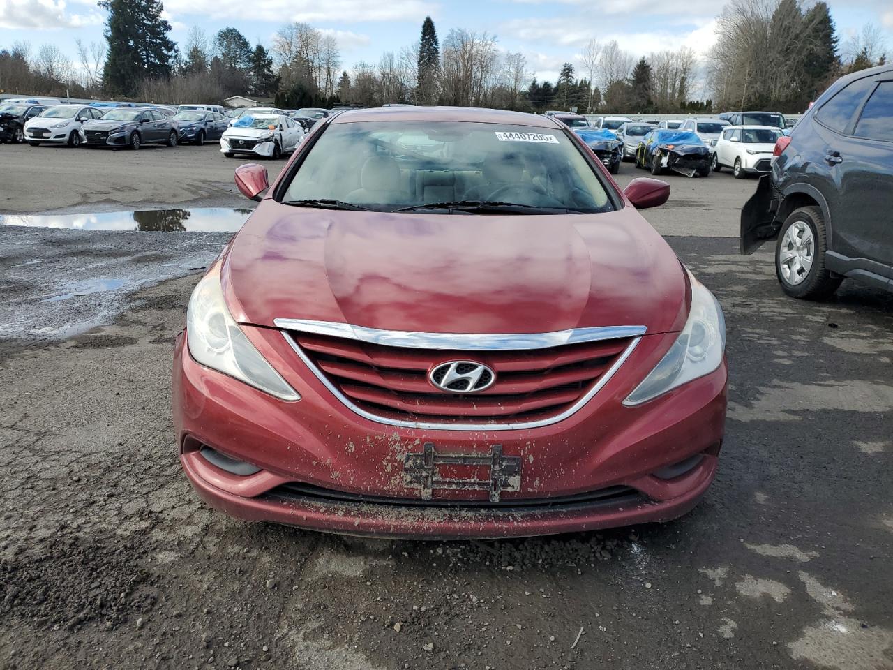 2013 Hyundai Sonata - Image 5