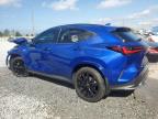 2022 Lexus Nx 350 en Venta en Riverview, FL - Front End