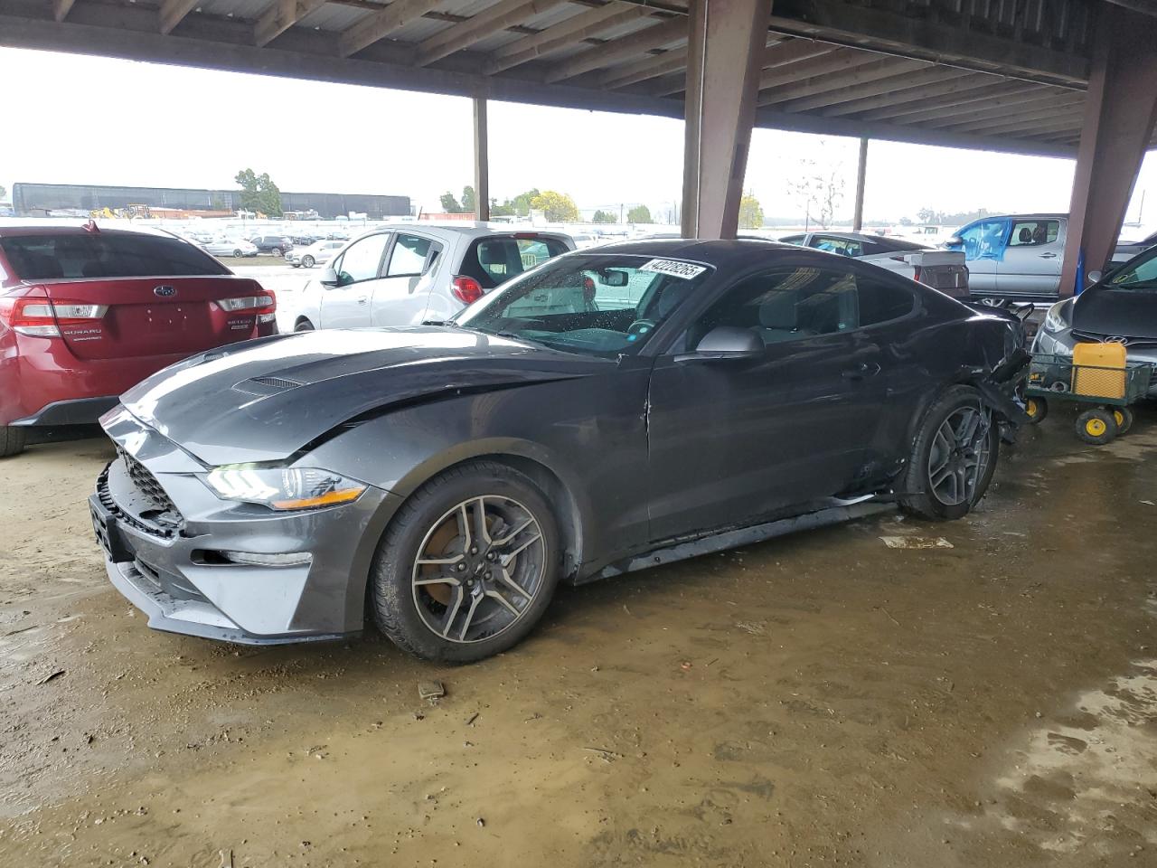 2019 Ford Mustang - Image 1