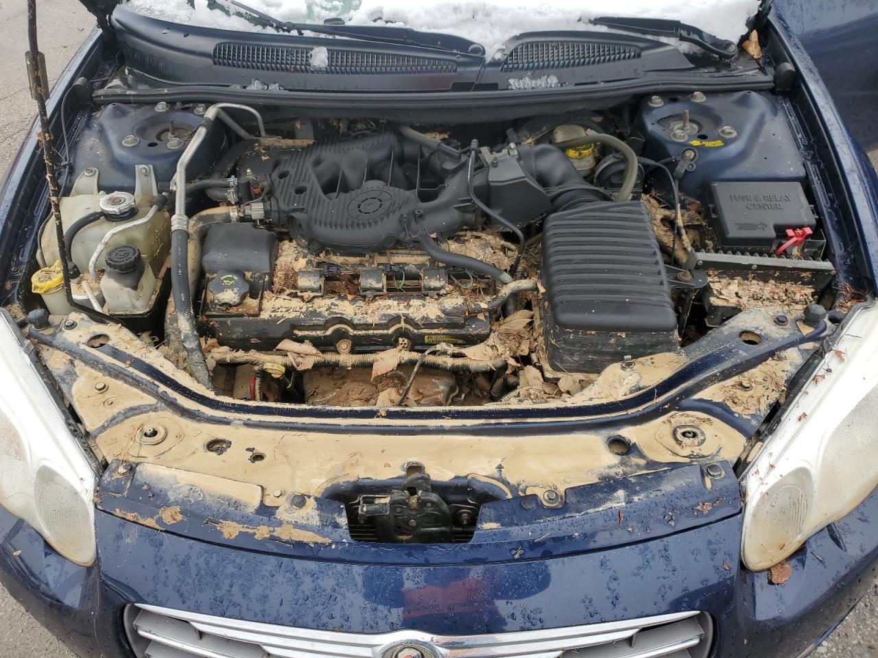 2005 Chrysler Sebring Special VIN: 1C3AL36R25N645847 Lot: 44513105