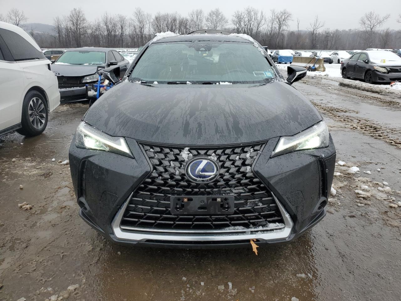 2019 Lexus UX - Image 5