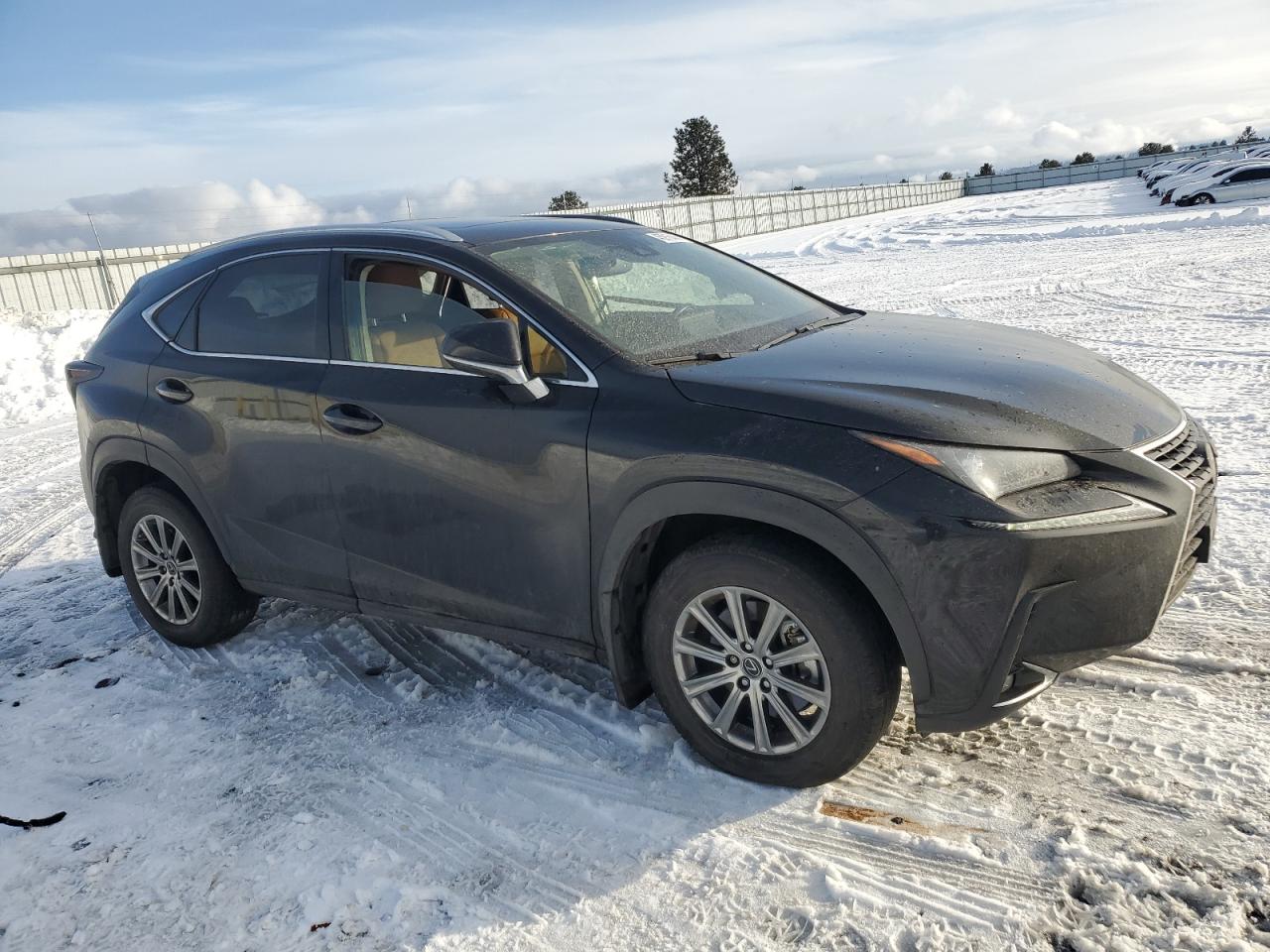 2020 Lexus NX - Image 4