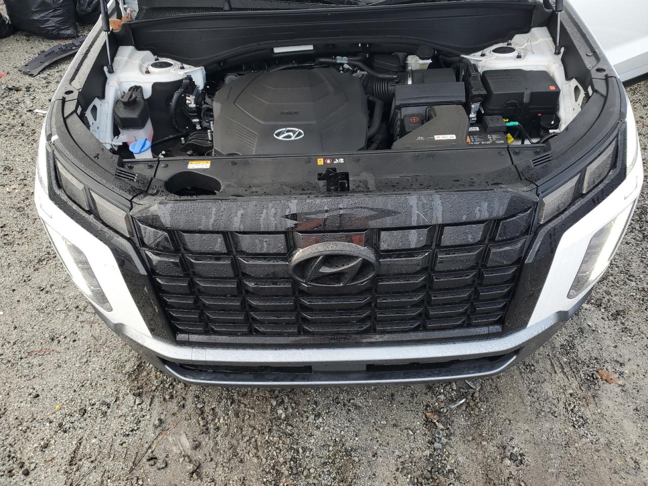 2024 Hyundai Palisade - Image 12