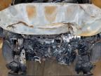 2024 Kia Soul Lx zu verkaufen in San Antonio, TX - Burn