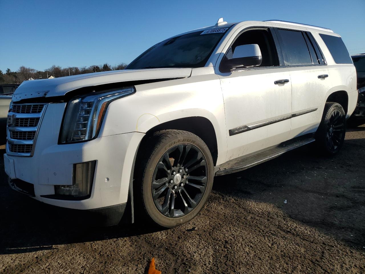 2019 Cadillac Escalade - Image 1