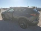 2025 Lexus Nx 250 Base للبيع في Andrews، TX - Side