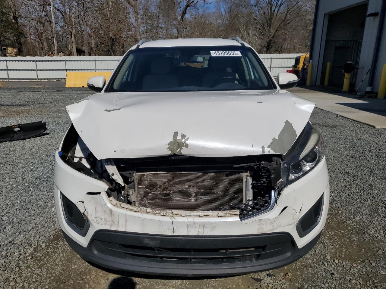 2016 Kia Sorento - Image 5