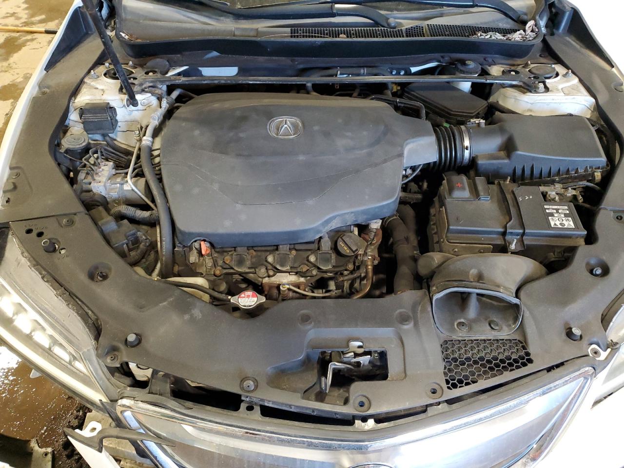 2015 Acura Tlx VIN: 19UUB2F31FA014311 Lot: 45569045