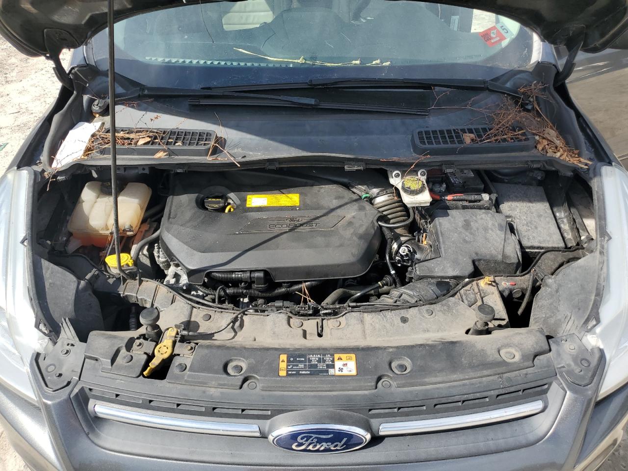 2016 Ford Escape - Image 12