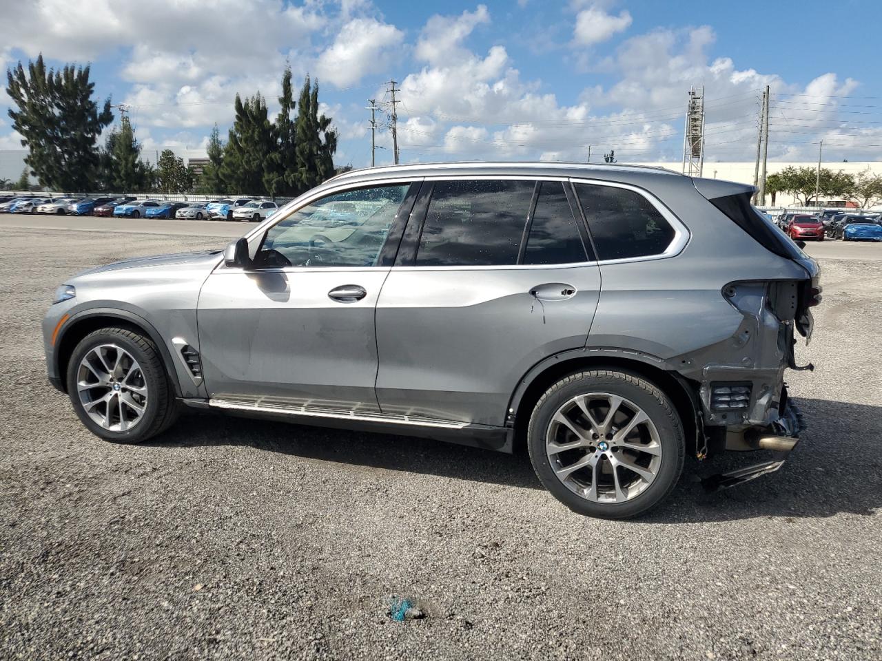 2024 BMW X5 - Image 2