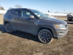 2021 Jeep Compass Trailhawk na sprzedaż w Indianapolis, IN - Side