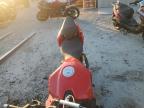 2022 Ducati Streetfighter V2 for Sale in Spartanburg, SC - Front End