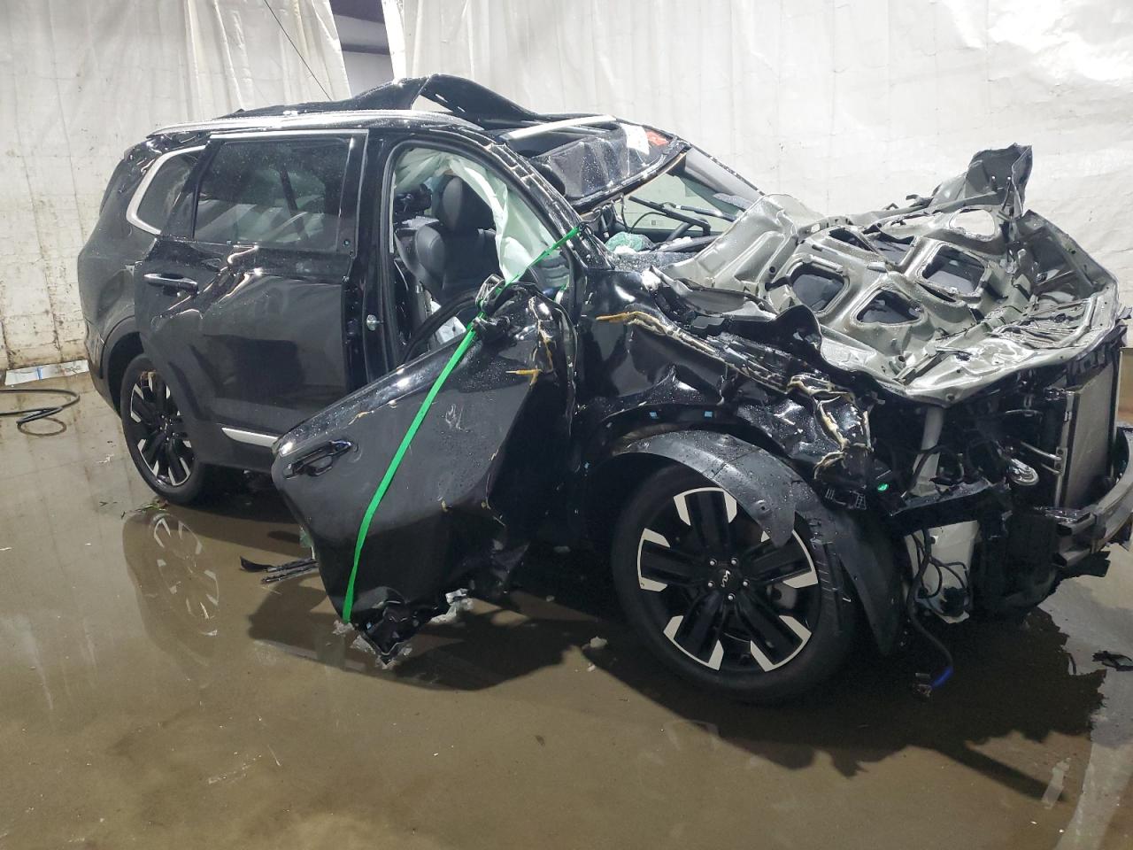 2024 Kia Telluride - Image 4