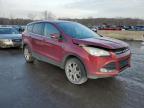 2013 Ford Escape Sel იყიდება Marlboro-ში, NY - Minor Dent/Scratches