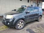 2009 Honda Pilot Ex продається в Kapolei, HI - Water/Flood