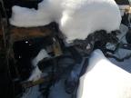 2012 Ford F550 Super Duty de vânzare în Milwaukee, WI - Burn - Engine