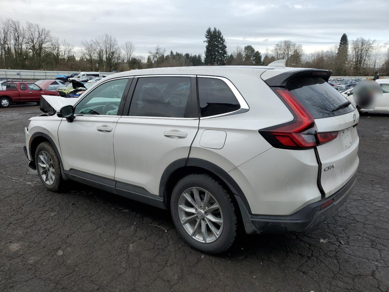 2024 Honda CR-V - Image 2